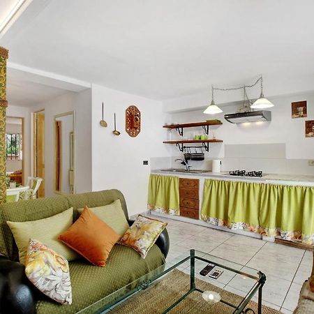 Apartamento Jardin Del Sol Tacoronte Zewnętrze zdjęcie