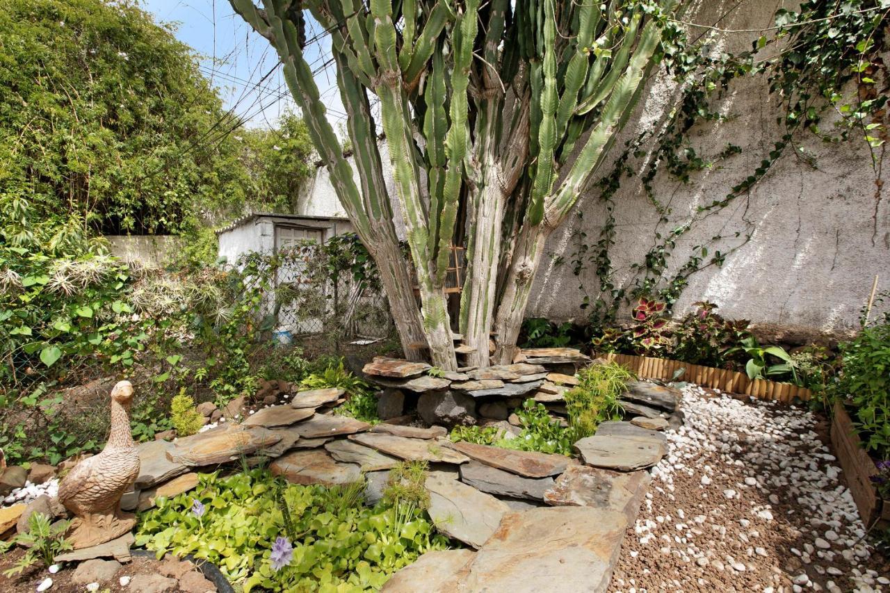 Apartamento Jardin Del Sol Tacoronte Zewnętrze zdjęcie